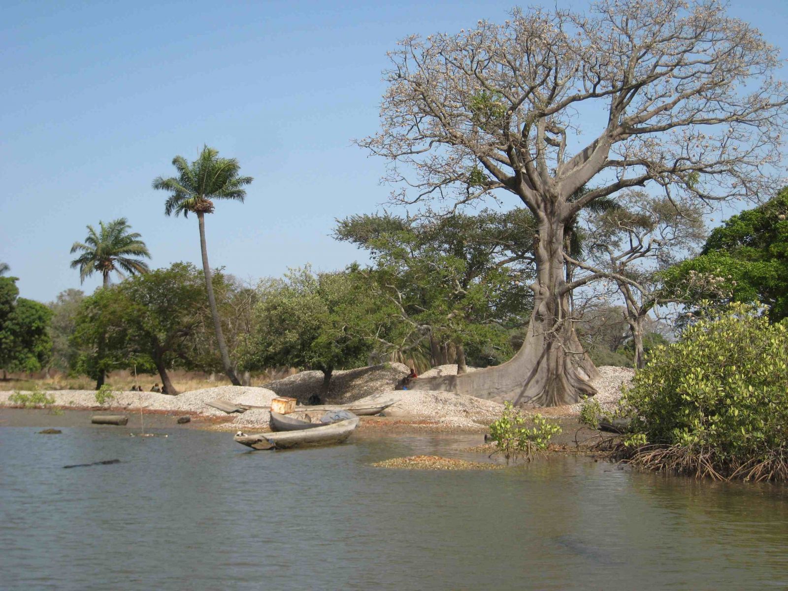 Sénégal : Eco-Parc de Boucotte
