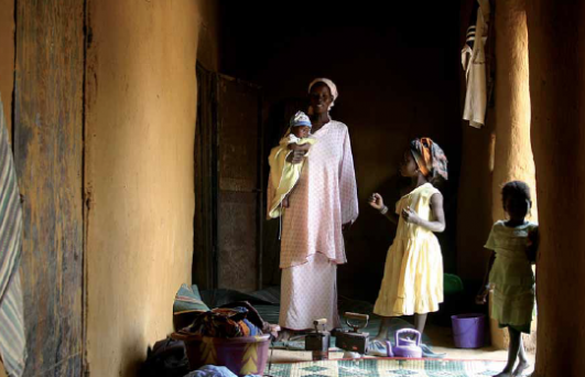 Sénégal : Fleuve de Vie